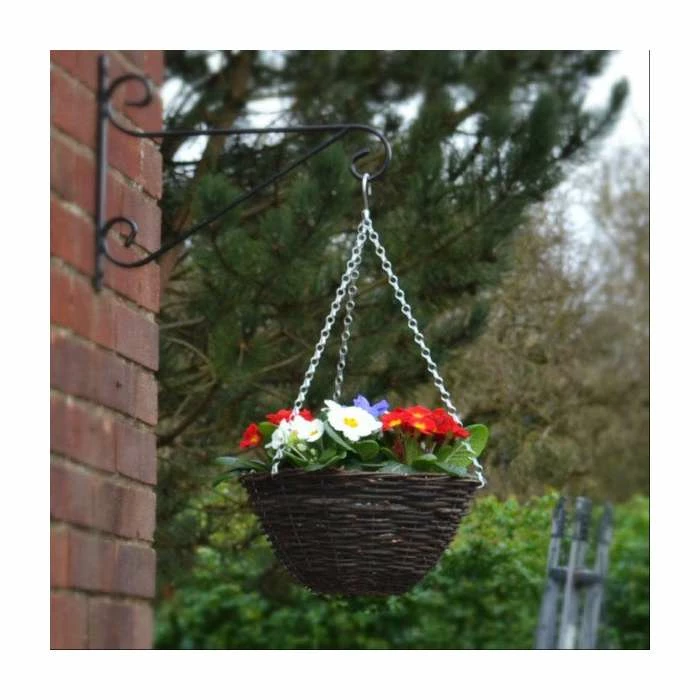 30cm Pre-Planted Hanging Basket | Primula 'Red White and Blue' Mix - Image 5