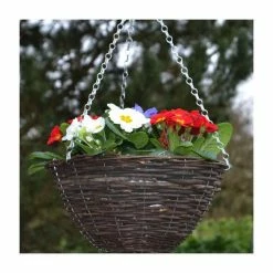 30cm Pre-Planted Hanging Basket | Primula 'Red White and Blue' Mix
